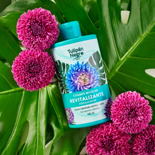 TULIPÁN NEGRO Šampón Micelar Revitalizante 400ml /6